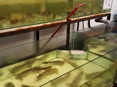 -ZF Seafood Restaurant 卓峰海鲜餐