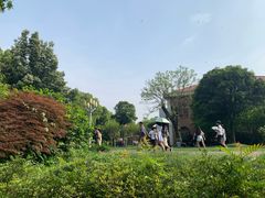 -橘洲1910花园江景西餐厅