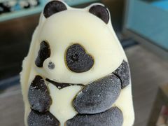 -都江堰中华大熊猫苑