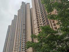 -丽晶轩中餐厅(重庆丽晶酒店)