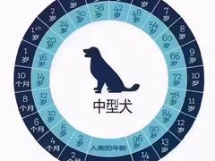 -瑞派申生动物医院·24H夜诊·国际动物医疗中心·骨外科(吴中路店)