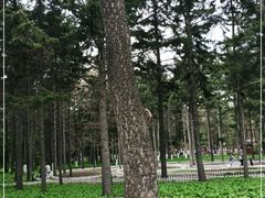 -黑龙江省森林植物园