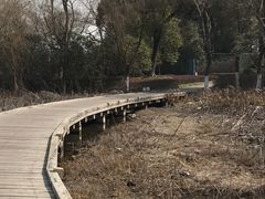 -宝界山林公园