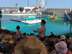 -秦皇岛乐岛海洋王国