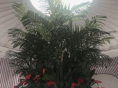 -LANN I 蘭 SPA(陆家嘴中心店)
