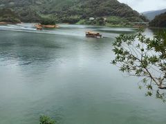 -广州市流溪河国家森林公园