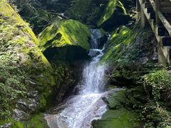 -西安祥峪森林公园