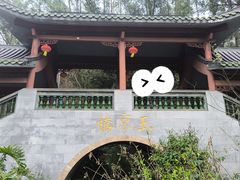 -广州神农草堂中医药博物馆