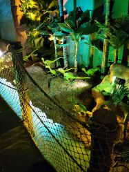 -恐龙探索乐园(磁器口店)