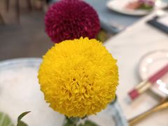 -喜聚薈·花膠雞海鮮火鍋(越秀店)