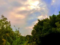 -乌镇东栅景区
