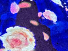 -花博汇(知音花月夜)