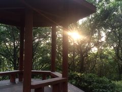 -上海市保健医疗中心(华东疗养院)