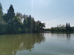 -白塔湖国家湿地公园