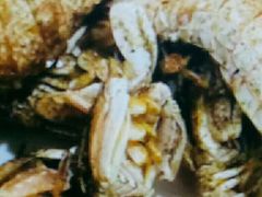 -望海潮海鲜店 特色家常菜(在海一方店)