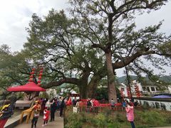 -新安江山水画廊风景区
