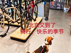 -日本大使馆-新闻文化中心