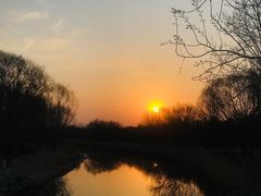 -大兴滨河森林公园