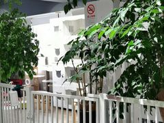 -东方名猫馆·英短金渐层布偶猫舍(环线广场1号楼店)