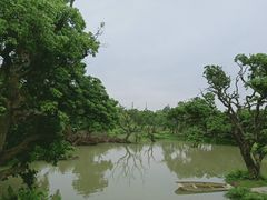 -鹤之洲湿地公园