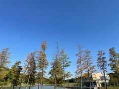 -东莞植物园