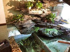 -山水茶艺馆·点心粤菜·30年老字号