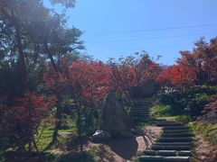 -广州市帽峰山景区