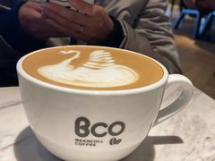 -Bco豆库(星耀天地店)