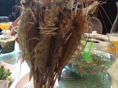 码头活力虾-阳光码头海鲜火锅(世纪大道店)