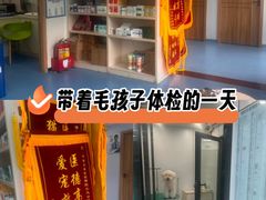 -博特宠物医院24h犬猫全科.骨科·异宠