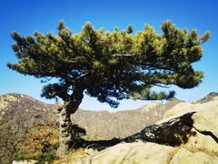 -天津盘山风景名胜区