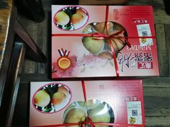 -南汇新场正宗水蜜桃采摘