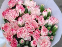 -循礼门鲜花花市(武汉循礼门店)