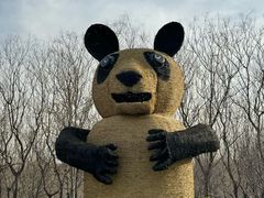 -永定河休闲森林公园