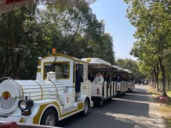 -上海海湾国家森林公园