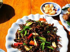 黄油菌-腾冲国萍农家乐