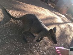 -费瑟代尔野生动物园