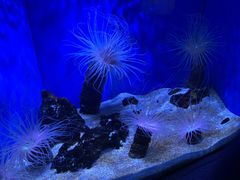 -上海海洋水族馆