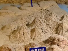 -安徽省地质博物馆