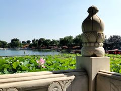 -小王府(什刹海店)