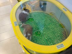 -THE hood开新里(御桥路店)