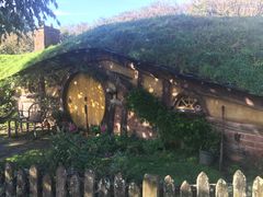 -怀托摩萤火虫洞