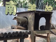 -深圳野生动物园