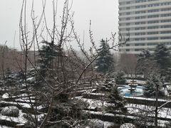 -山东大学(千佛山校区)