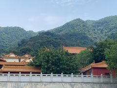 -深圳仙湖植物园
