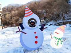 -青峰峡国家森林公园