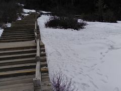 -黄龙山原始森林景区