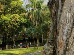 -广州市白云山风景名胜区