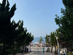 -养马岛旅游度假区
