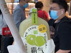 -奈雪的茶(深圳北站店)